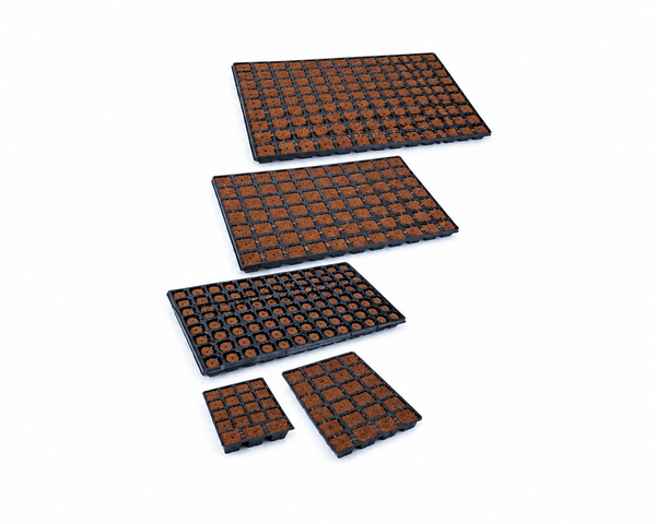 Vassoio per Eazy Plug Essiccato (3,5 x 3,5 x 3 cm) 77 ALV HGA