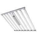 Vanguard Hydroponics Sistema LED SPIDER KING 1000 W