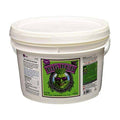 Adv Nutrients - Big Bud - Powder