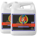 Adv Nutrients - Connoisseur A+B - Bloom