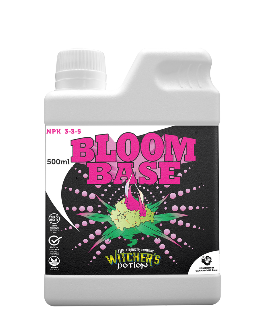 Bloom Base