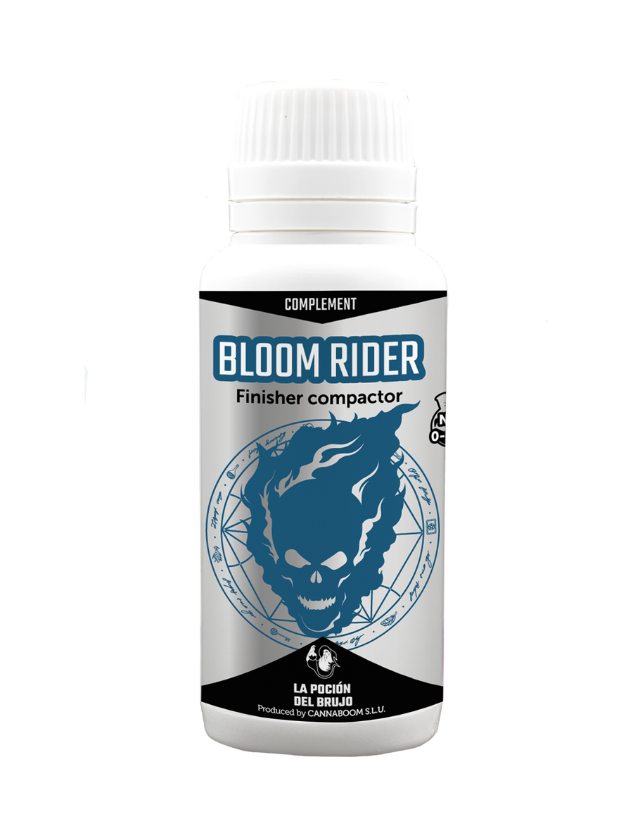 Bloom Rider