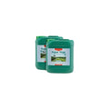 Canna Aqua Vega A+B