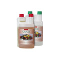 Canna Coco A+B