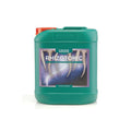 Canna Rhizotonic