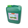 Canna Terra Vega