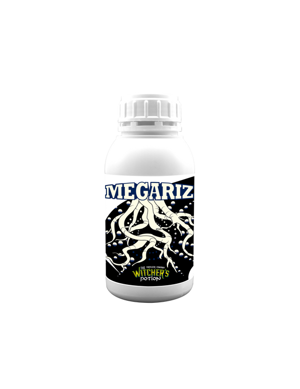 Megariz