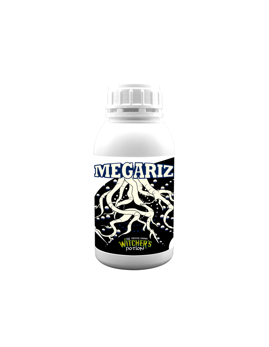 Megariz