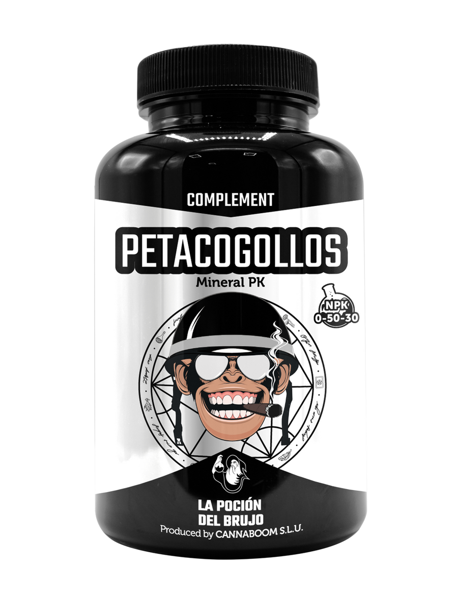 Petacogollos