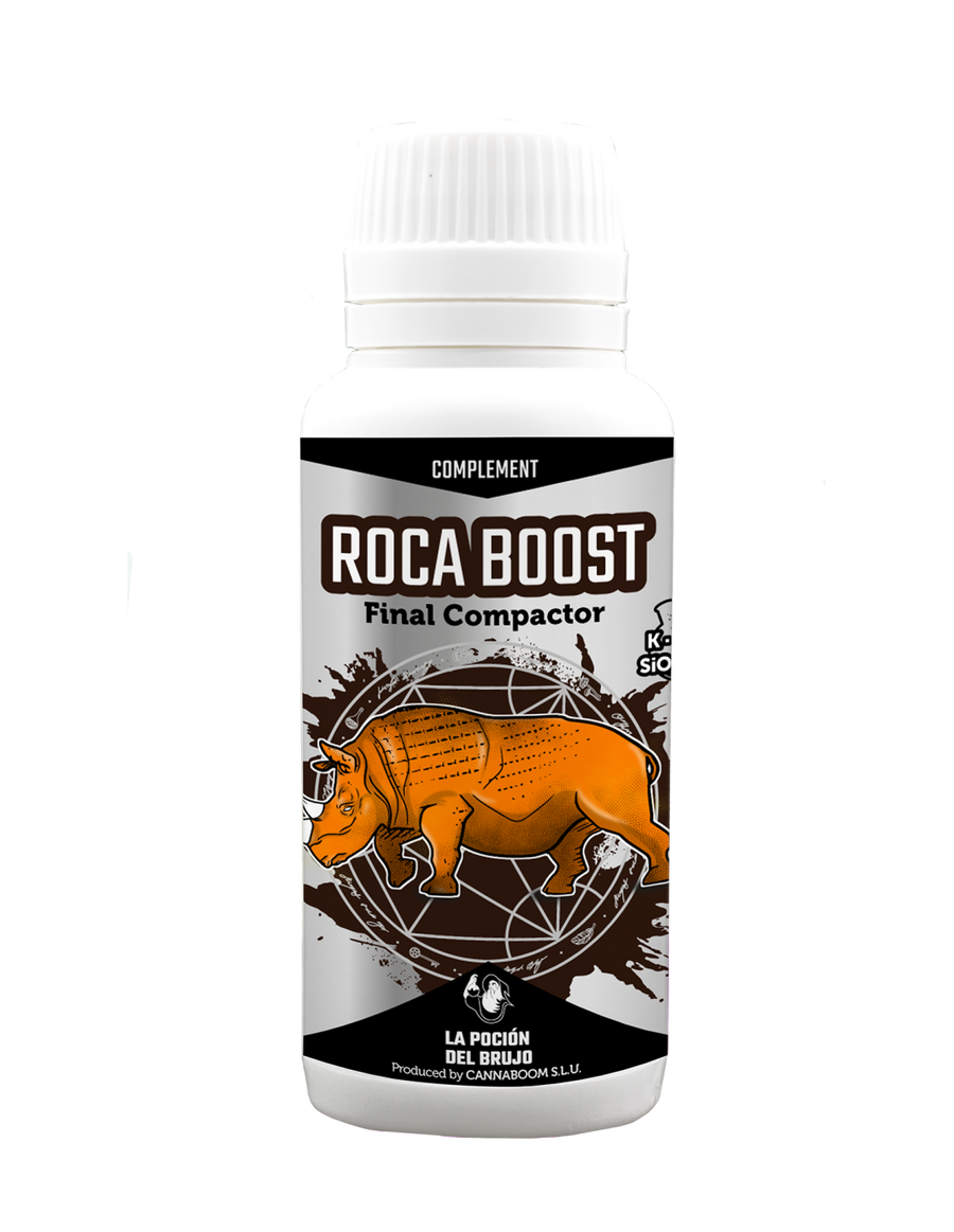 Roca Boost
