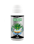 Silibum