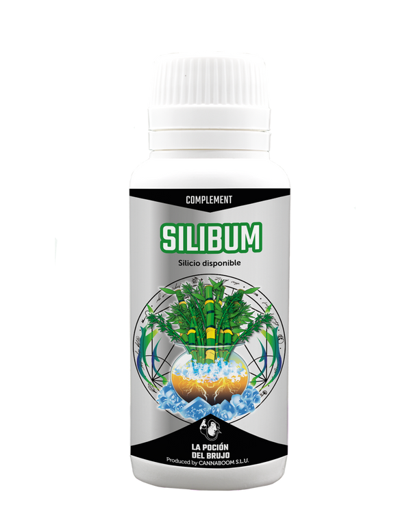 Silibum