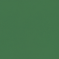 LOOP COLORS Varianti Verde