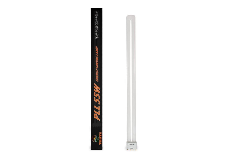 Lampada al Neon Trilite PLL 55 W / 6400 K