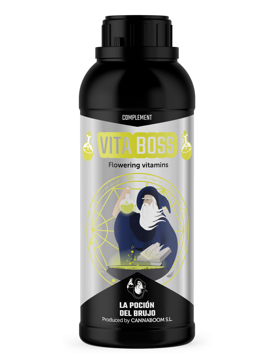 Vita Boss
